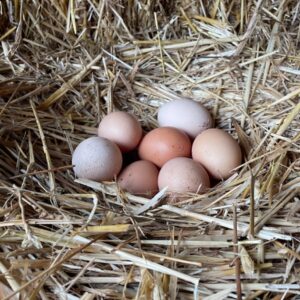 FARDOS DE PAJA DE TRIGO