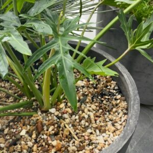 ARENA GRUESA PARA MULCH RICA EN SÍLICE